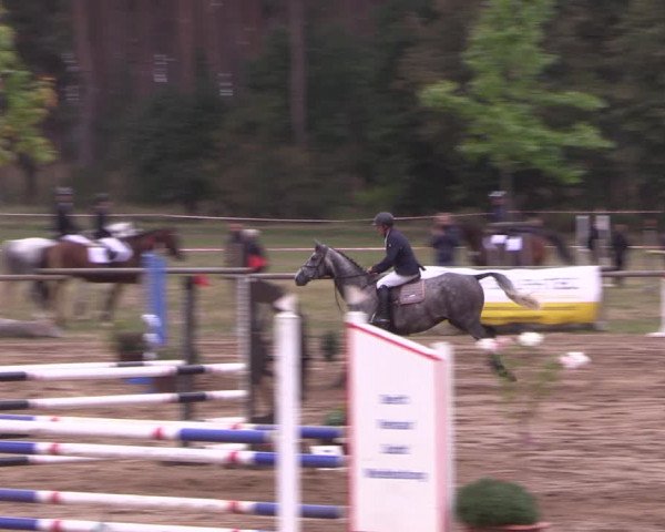 Reitturnier Baitz 2021