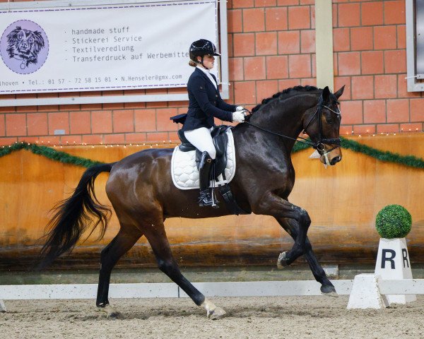 dressage horse Nos Sempre 2 (KWPN (Royal Dutch Sporthorse), 2018, from Secret)
