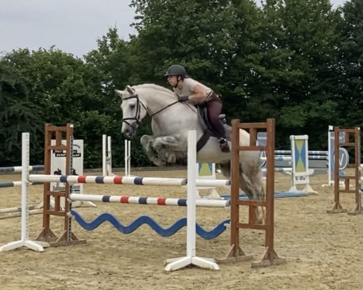 jumper Kleiner Theo (Connemara Pony, 2011, from Elmore James)
