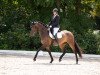 dressage horse Decantado (Westphalian, 2017, from D'Egalite)