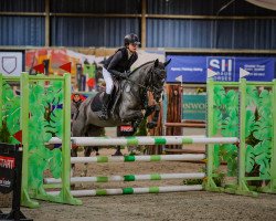 broodmare Proud Ginny (German Riding Pony, 2010, from Proud Rocketti)