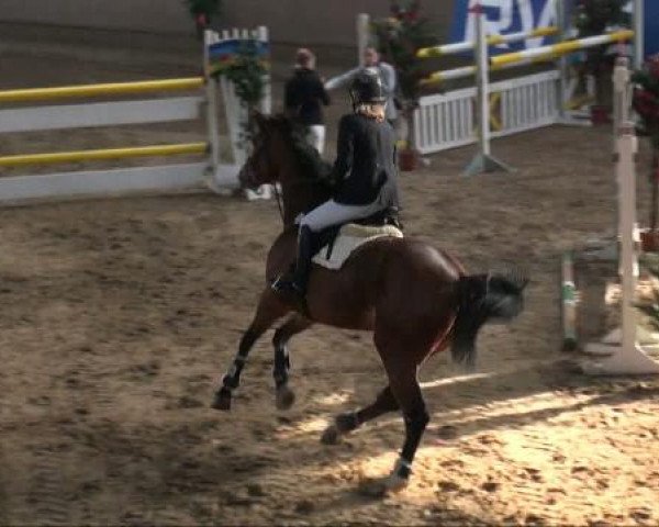 Alt Marl 2011