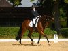 dressage horse Chaccometti (Bavarian, 2009, from Chacco-Blue)