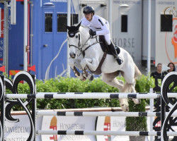 jumper Chachacha 2 (Oldenburg show jumper, 2009, from Chacco-Blue)