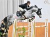 stallion Quirinus 27 (Hanoverian, 2014, from Quality Time)