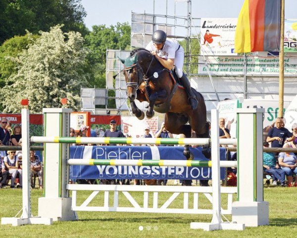 stallion Landskron 3 (German Sport Horse, 2012, from Lahnstein 4)