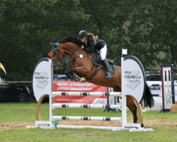 jumper Camicazee (Hanoverian, 2019, from Cavoiro - H OLD)