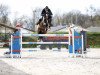 jumper Helios C (Oldenburg show jumper, 2006, from Flemmingh)