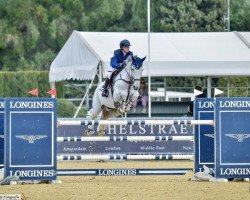 jumper Cor de Dinard (Hanoverian, 2010, from Corlensky G)