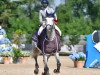 jumper Jiroclavsco Fortuna (KWPN (Royal Dutch Sporthorse), 2014, from Zirocco Blue)