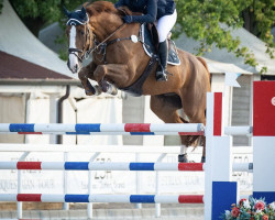 Springpferd Derby de Beaufour (Selle Français, 2013, von Diamant de Semilly)