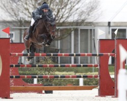 jumper Casino Royal (KWPN (Royal Dutch Sporthorse), 2007, from Lupicor)