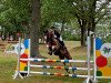 jumper Nancho's Nemo (German Riding Pony, 2012, from Heidbergs Nancho Nova)