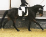 dressage horse Delatissimo (Rhinelander, 2012, from Delatio)