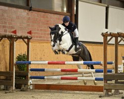 broodmare Rosenhof's Mary Poppins (German Riding Pony, 2016, from Dark Dornik)