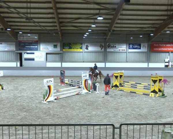 Reitturnier AZL Luhmühlen 2023