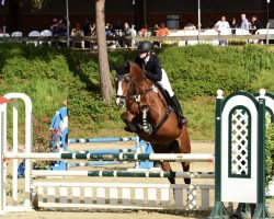 dressage horse Hugo 128 (Westphalian, 2008, from Hogwart)