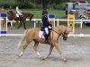 dressage horse Golden Darling (German Riding Pony, 2014, from Darling T)