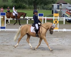 dressage horse Golden Darling (German Riding Pony, 2014, from Darling T)