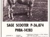 stallion Sage Scooter (Quarter Horse, 1952, from Scooter W)