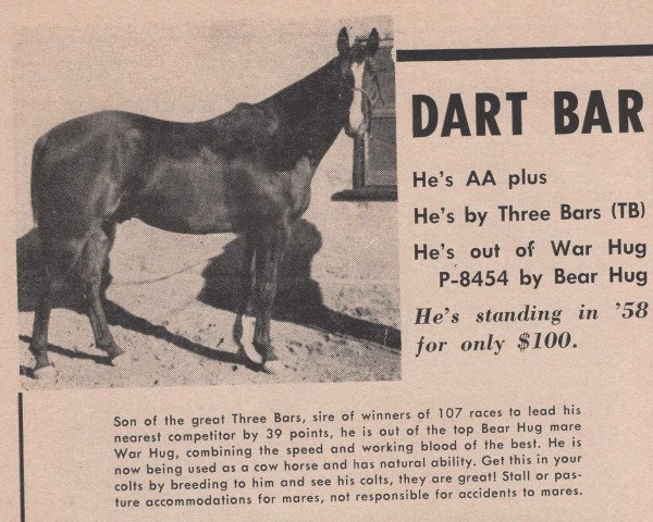 stallion Dart Bar (Quarter Horse, 1953, from Three Bars xx)