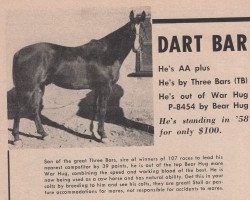 stallion Dart Bar (Quarter Horse, 1953, from Three Bars xx)