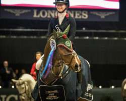 Springpferd Tornado (Schwedisches Warmblut, 2014, von Diarado)