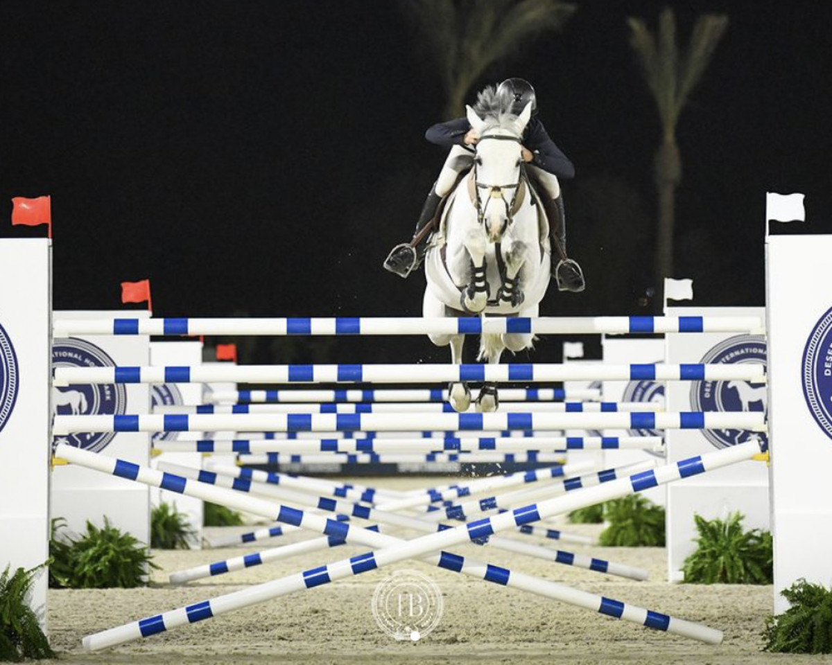 jumper Karen (Hanoverian, 2012, from Levistano)