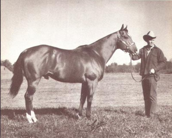 stallion Sugar Sabre (Quarter Horse, 1966, from Dan's Sugar Bars)