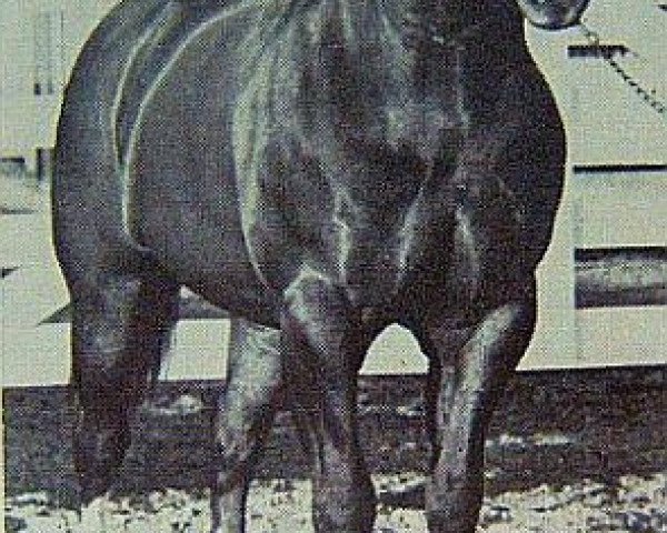 Deckhengst Trey Bars (Quarter Horse, 1957, von Three Bars xx)