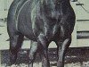 Deckhengst Trey Bars (Quarter Horse, 1957, von Three Bars xx)