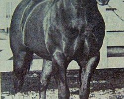 stallion Trey Bars (Quarter Horse, 1957, from Three Bars xx)