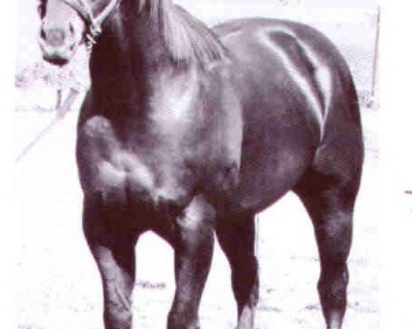 Deckhengst Sir Bar (Quarter Horse, 1959, von Union Boy)