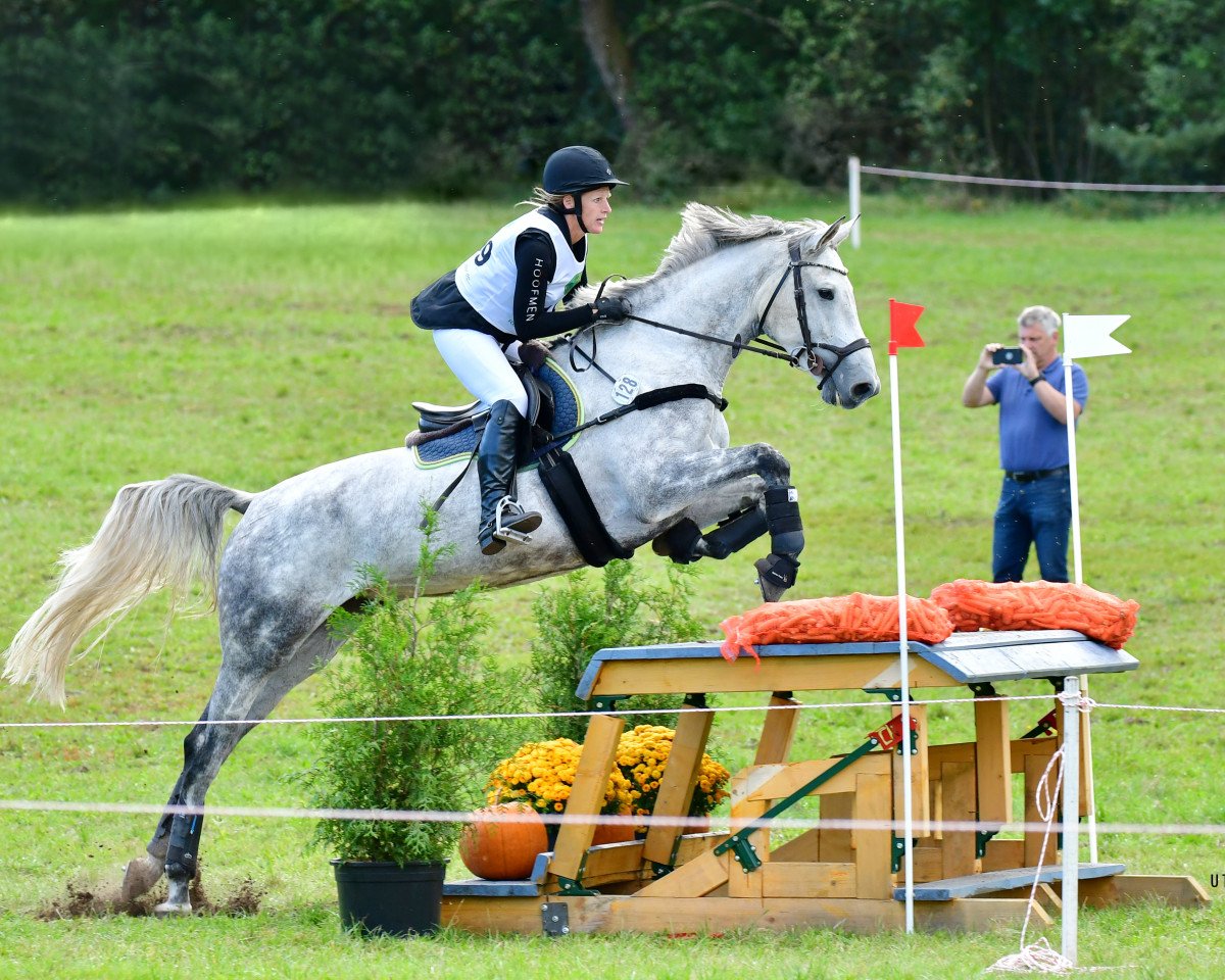 jumper Kalayana (Holsteiner, 2017, from Dinken)