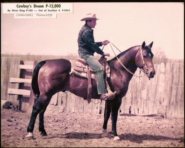 Deckhengst Cowboy's Dream (Quarter Horse, 1946, von Silver King)