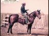 Deckhengst Cowboy's Dream (Quarter Horse, 1946, von Silver King)