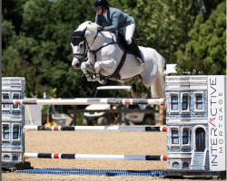 Pferd Lou van Baublo (Belgisches Warmblut, 2011, von President)