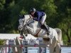 jumper Calciet Eb Z (Zangersheide riding horse, 2013, from Cornet Obolensky)