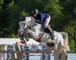 jumper Calciet Eb Z (Zangersheide riding horse, 2013, from Cornet Obolensky)