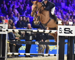 Springpferd Cana van de Blom (Belgium Sporthorse, 2008, von Kashmir van't Schuttershof)