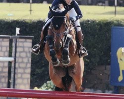 jumper Indigo VDL (KWPN (Royal Dutch Sporthorse), 2013, from Inshallah de Muze)