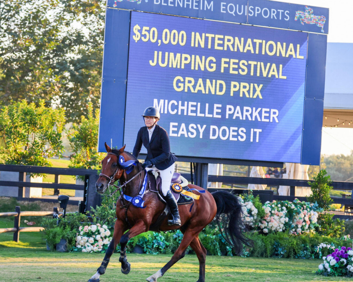 jumper Easy Does It (KWPN (Royal Dutch Sporthorse), 2009, from Casinos)