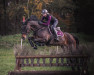 jumper Catalan K (Oldenburg show jumper, 2013, from Colander)