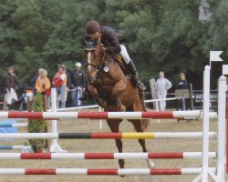 broodmare Azalee F (Mecklenburg, 1995, from Azarro (Aachen))