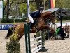 jumper Simply The Best 42 (Hanoverian, 2017, from Stolzenberg)