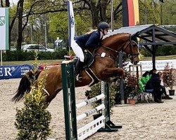 jumper Simply The Best 42 (Hanoverian, 2017, from Stolzenberg)