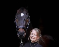 dressage horse Schorsch VMX (Oldenburg, 2014, from San Amour I)