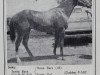 stallion Tonto's Time (Quarter Horse, 1957, from Tonto Bars Gill)