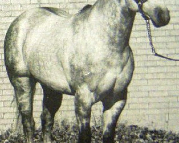 Deckhengst Easter Talent (Quarter Horse, 1970, von Talent Bar)