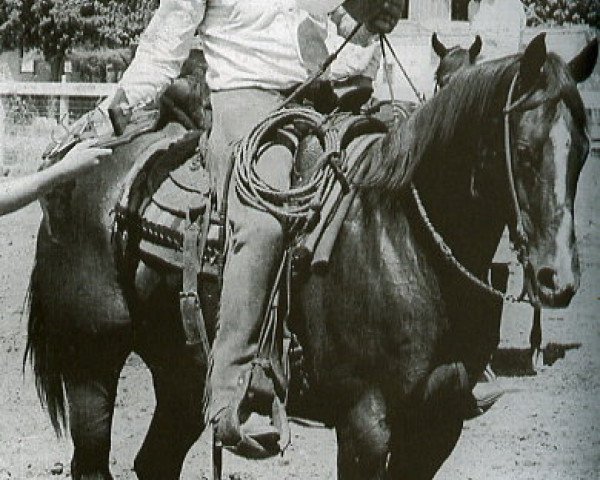 broodmare Fillinic (Quarter Horse, 1957, from Arizona Junie)